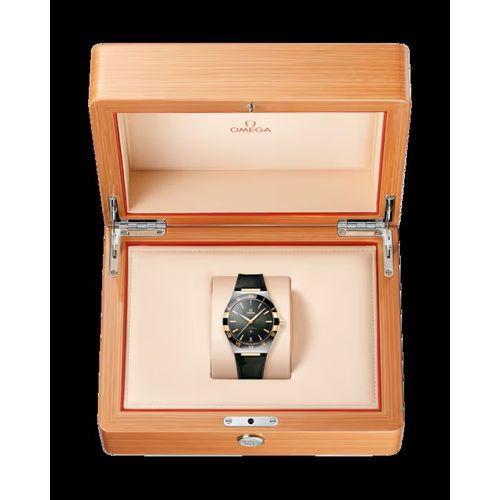 Relogio-Omega-Constellation-41