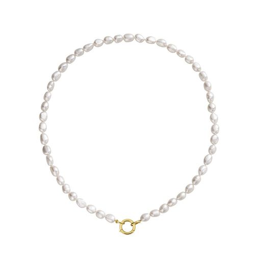 WhatsApp-Image-2026-02-09-at-15.35.27--1-