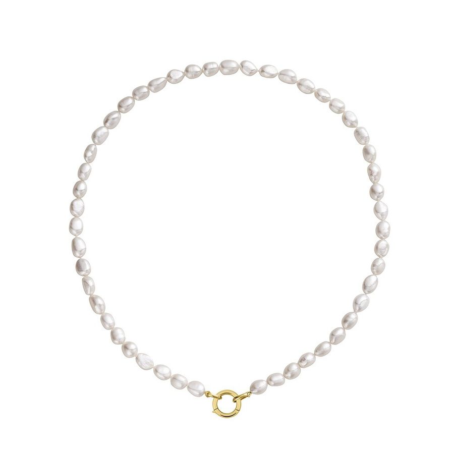 WhatsApp-Image-2026-02-09-at-15.35.27--1-